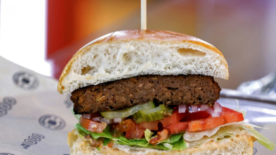 Stiftung Warentest: Knapp die H&auml;lfte der Veggie-Hack-Produkte insgesamt gut 