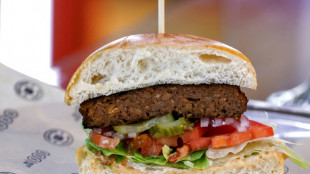 Stiftung Warentest: Knapp die H&auml;lfte der Veggie-Hack-Produkte insgesamt gut 