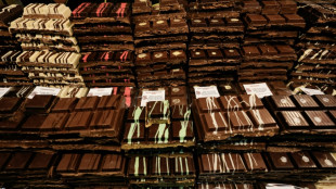 Z&ouml;llner entdecken in Sachsen Rohopium statt Weihnachtsschokolade in Paket