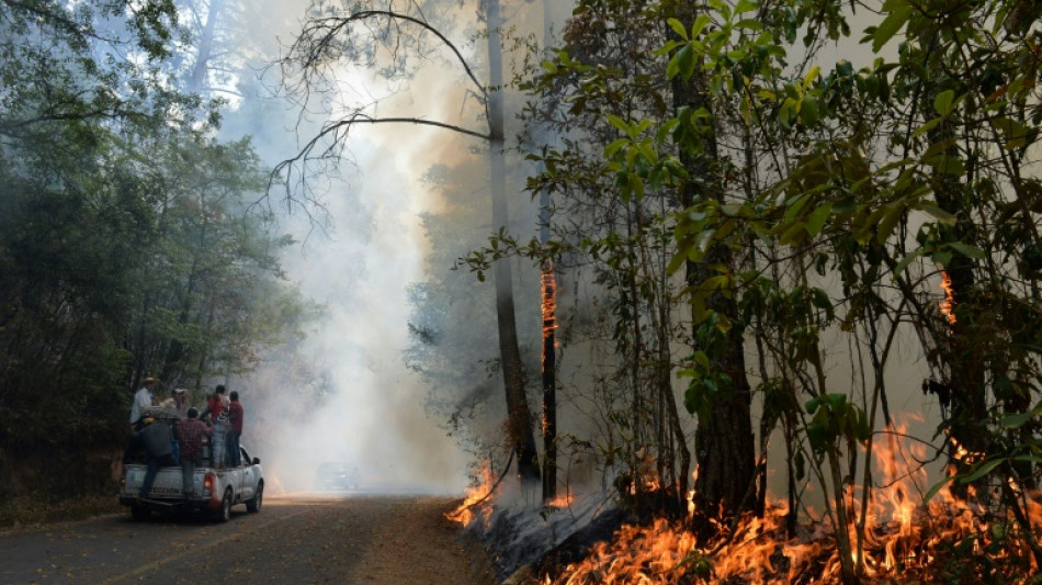 Combaten un incendio forestal en el tur&iacute;stico pueblo mexicano de Valle de Bravo