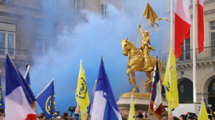 500 Royalisten demonstrieren in Paris
