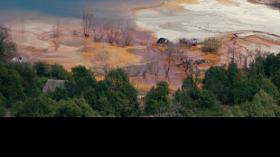 Cinema, il tedesco Matth&auml;us W&ouml;rle vince il Cervino CineMountain
