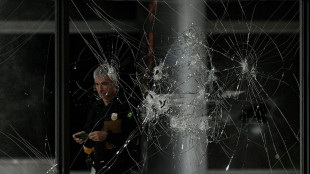 Les saccages &agrave; Brasilia, d'&eacute;normes d&eacute;g&acirc;ts pour le patrimoine