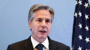 Blinken, Jordan raise Palestinian needs as Israel readies Gaza move
