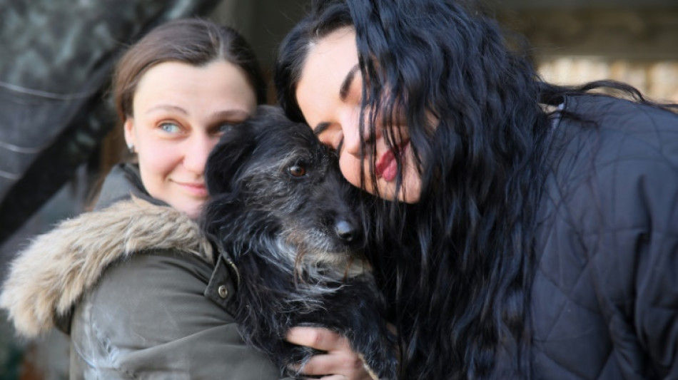 En Ucrania, los animales tambi&eacute;n toman el camino del &eacute;xodo