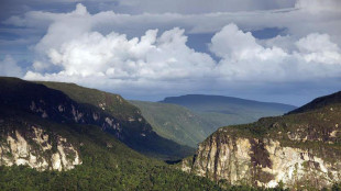 Biomass, così le foreste hanno addestrato il satellite