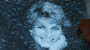 En priv&eacute; et s&eacute;par&eacute;ment, William et Harry marquent l'anniversaire de la mort de la princesse Diana