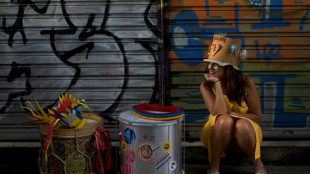 Br&eacute;sil : la folie du carnaval de Rio reprend ses droits loin des "t&eacute;n&egrave;bres"