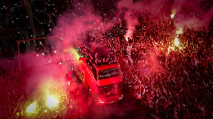 Mondial: Les Lions de l'Atlas accueillis en h&eacute;ros &agrave; leur retour au Maroc 