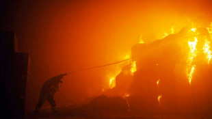 Ucrania frustr&oacute; mayor ataque ruso con drones contra Kiev desde inicio de la invasi&oacute;n