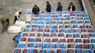 Nepal launches campaigns for first post-uprising polls