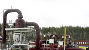 Le gaz russe pour la Finlande a &eacute;t&eacute; coup&eacute; 