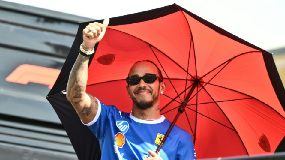 Hund krank: Lewis Hamilton verzichtet auf Ferrari-Reifentest