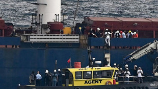 L'Ukraine annonce la premi&egrave;re arriv&eacute;e &agrave; destination d'un navire charg&eacute; de c&eacute;r&eacute;ales