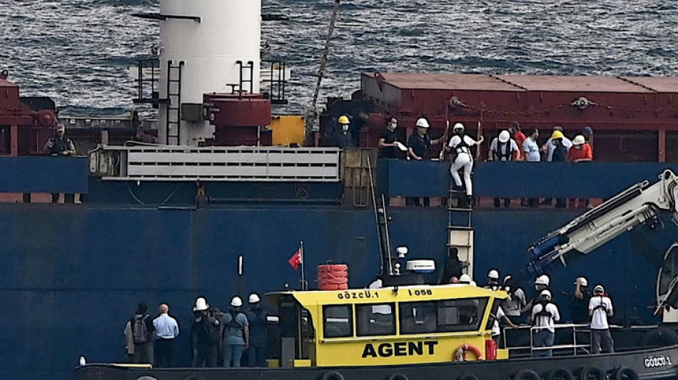 Ukraine: le premier chargement de c&eacute;r&eacute;ales inspect&eacute; pr&egrave;s d'Istanbul