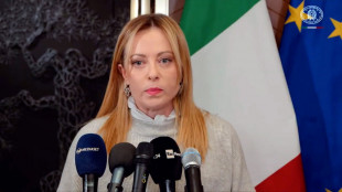 Palazzo Chigi, Cornado torna in Svizzera se le autorit&agrave; giudiziarie collaborano