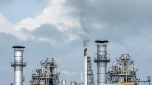 Analyse: S&uuml;dostasiatische Staaten setzen zu stark auf Erdgas