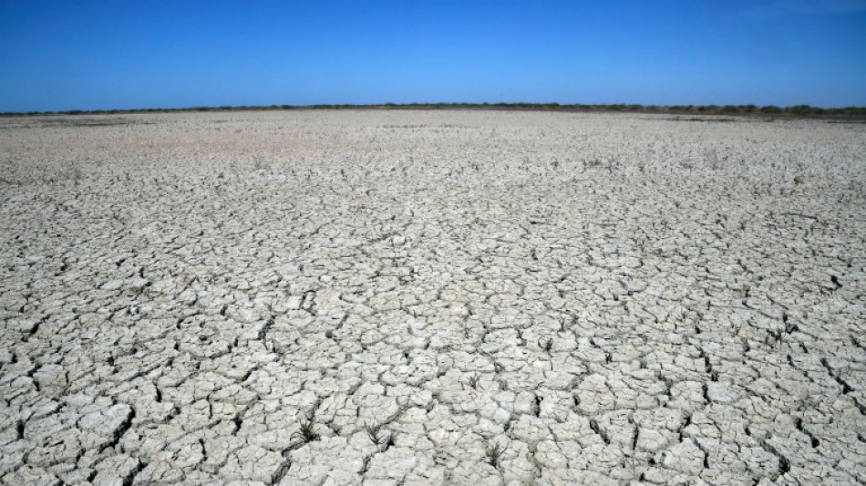 El gobierno espa&ntilde;ol lanza medidas frente a la sequ&iacute;a que asfixia al pa&iacute;s