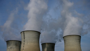 Accord des 27 pour r&eacute;former le march&eacute; de l'&eacute;lectricit&eacute;, compromis sur le nucl&eacute;aire