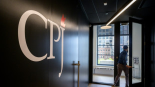 NGO: 124 Journalisten im vergangenen Jahr get&ouml;tet