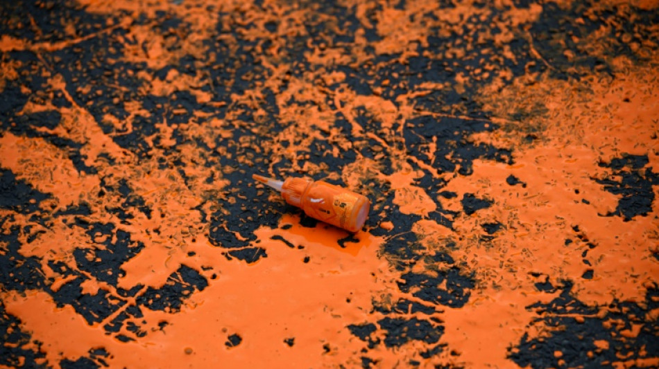 Farbattacke auf Hamburger Rathaus: 1750 Euro Geldstrafe f&uuml;r Klimaaktivist