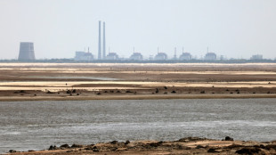 La central nuclear ucraniana de Zaporiyia se reparará "pronto", según el OIEA