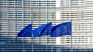 L'UE cherche &agrave; mobiliser pour la transition et la reconstruction de la Syrie