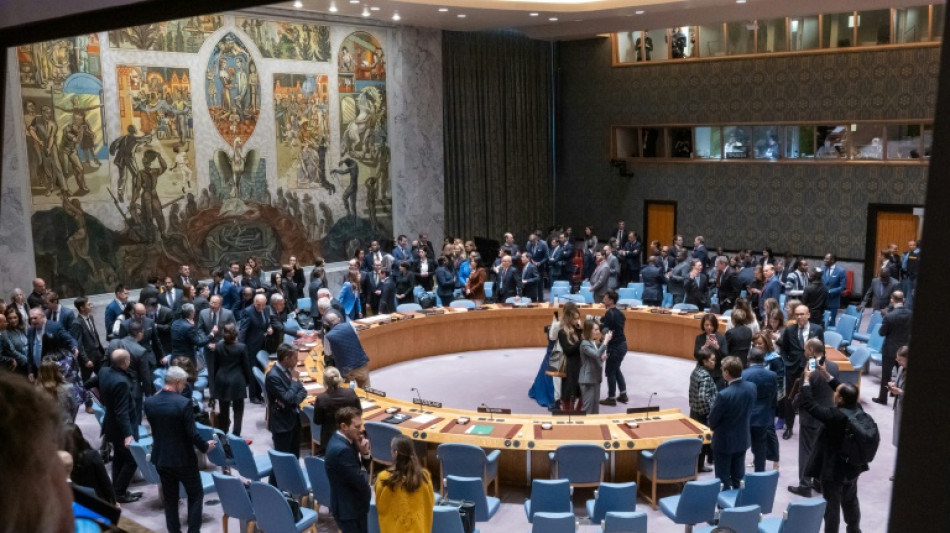 Nueva votaci&oacute;n sobre Gaza en Consejo de Seguridad de ONU, amenazada por veto de EEUU
