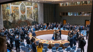 Nueva votaci&oacute;n sobre Gaza en Consejo de Seguridad de ONU, amenazada por veto de EEUU