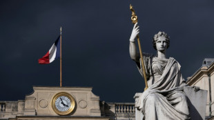 Le site de l'Assembl&eacute;e nationale fran&ccedil;aise bloqu&eacute; par des hackers pro-russes