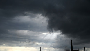 Bundesregierung will Gaskraftwerke f&ouml;rdern - Energiekonzerne begr&uuml;&szlig;en Pl&auml;ne