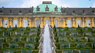 Historische Parkanlagen leiden unter Klimastress: &Uuml;berall gesch&auml;digte B&auml;ume