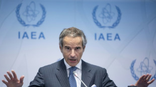 El OEIA, cada vez m&aacute;s "preocupado" por la capacidad de Ir&aacute;n de producir armas nucleares