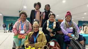 Gender-Fragen zus&auml;tzlicher Streitpunkt auf Klimakonferenz