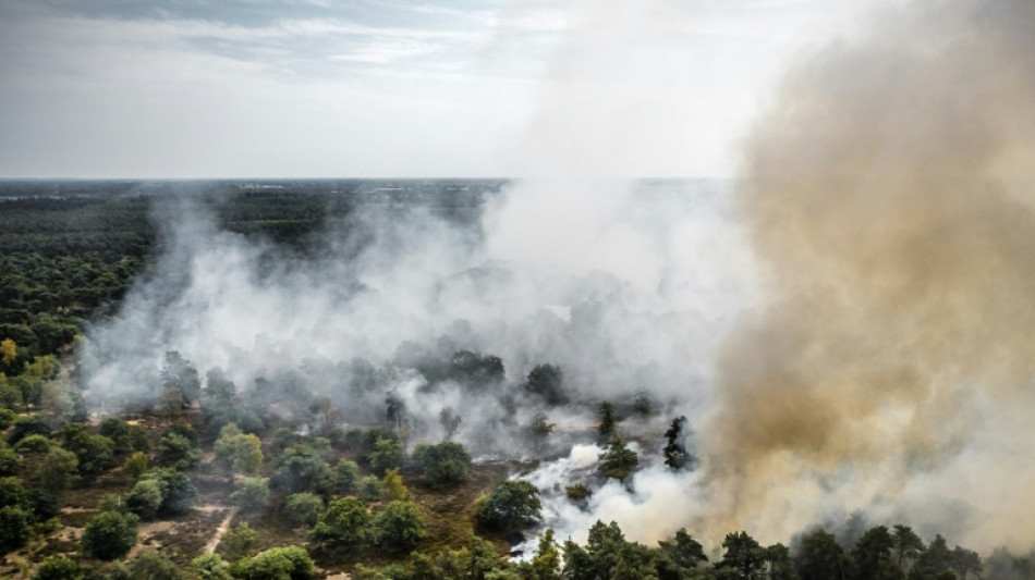 Feuerwehr k&auml;mpft weiter gegen Waldbrand in Naturschutzgebiet im S&uuml;dosten der Niederlande