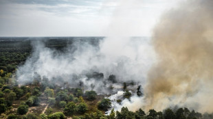 Forest fire spreads in Dutch nature reserve