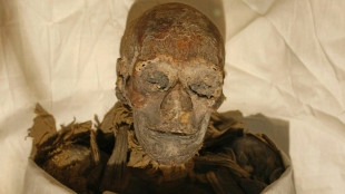 Gender not main factor in attacks on Egyptian woman pharaoh: study