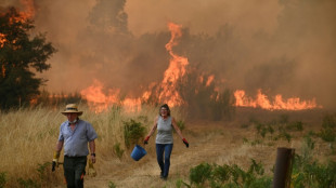 Toda Espa&ntilde;a en alerta por ola de calor y riesgo de incendio "muy alto a extremo"