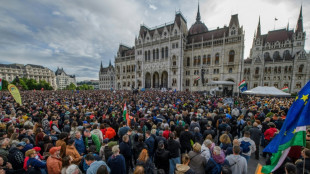 Hongrie : manifestation massive contre une loi ciblant ONG et m&eacute;dias ind&eacute;pendants