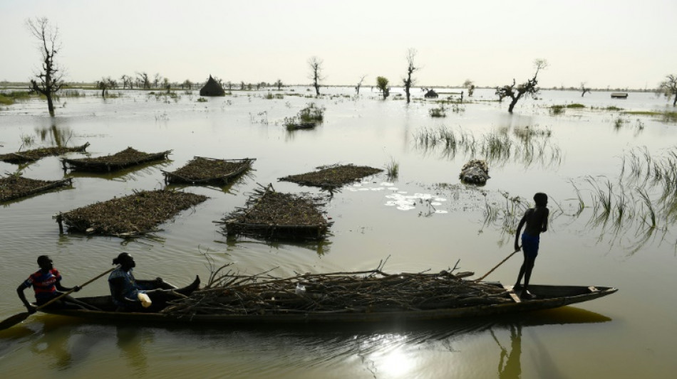 Sud&aacute;n del Sur en "territorio desconocido" tras cuatro a&ntilde;os de inundaciones