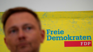 Medienbericht: FDP fordert Gesetz zu Kernfusion