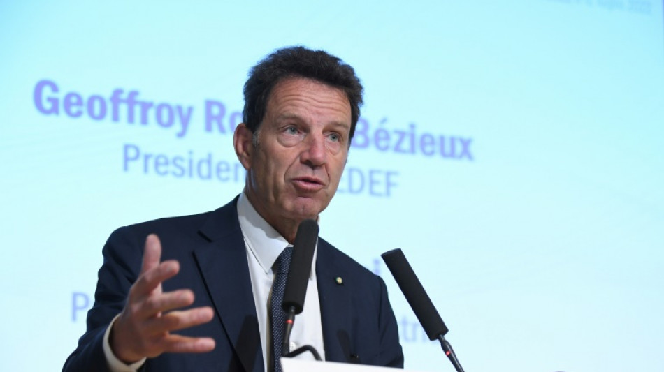 Super profits: le plus grand b&eacute;n&eacute;ficiaire, c'est l'Etat, pour le pr&eacute;sident Medef