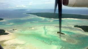 "Amazonas der Meere" bedroht: Umweltsch&uuml;tzer warnen vor Rohstoffabbau im Indo-Pazifik 