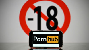 Donos do Pornhub suspendem acesso na Fran&ccedil;a em protesto contra demandas legais