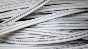 Gutachten: Beh&ouml;rde darf bei Urheberrechtsverletzung im Internet auf Identit&auml;tsdaten zugreifen