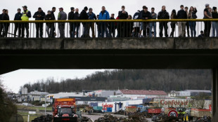 El gobierno de Francia, bajo presi&oacute;n para responder a la ira de los agricultores
