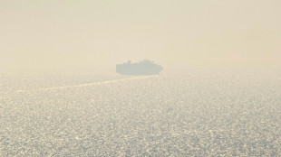 In Odessa ausgelaufener Frachter "Joseph Schulte" am Abend in Istanbul erwartet