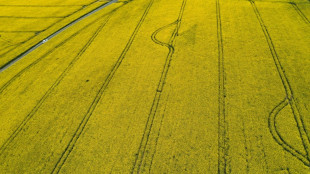 &Ouml;zdemir dringt auf Ende von Biosprit aus Nahrungspflanzen