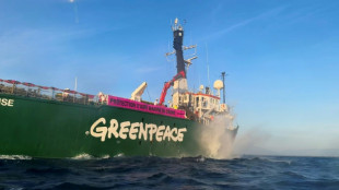 Le bateau de Greenpeace interdit au sommet de l'ONU sur les oc&eacute;ans &agrave; Nice