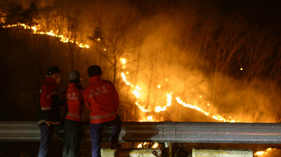 Cor&eacute;e du Sud: enqu&ecirc;te sur un homme suspect&eacute; d'avoir d&eacute;clench&eacute; les feux de for&ecirc;t (police)